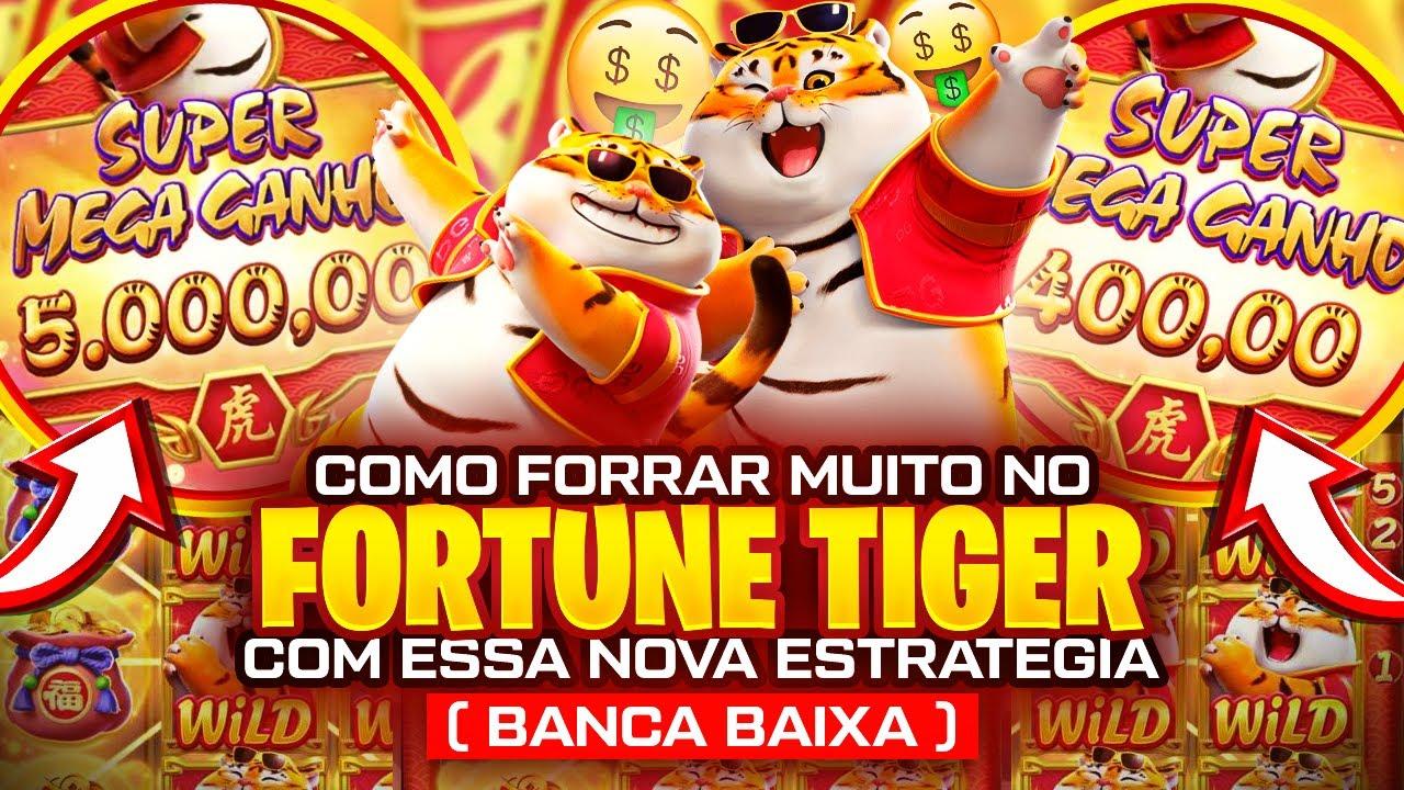 boxeadores imagem de tela 5